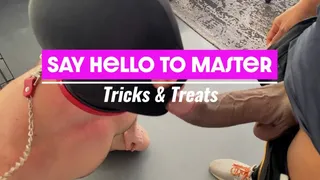 Say Hello to Master: Tricks & Treats