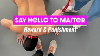 Say Hello to Master: Reward & Punishment