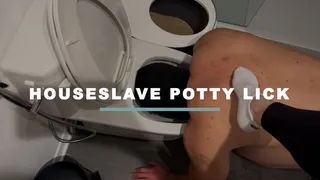 Houseslave Potty Lick