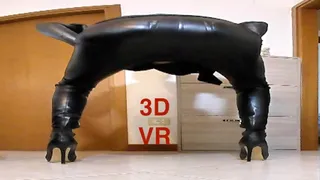 Leather slut posing in 3D VR