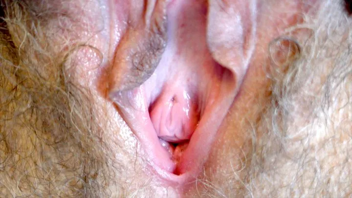 Hairy pussy super close up