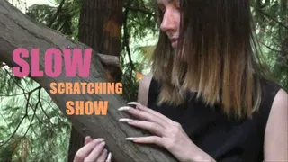 Slow scratching nail show on a tree trunk