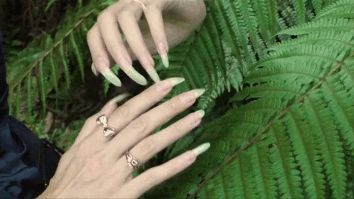 Amazing show of Long Natural Nails