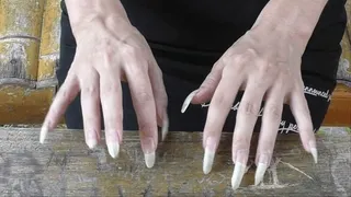 Amazing long natural nails are scratching and tapping on wood