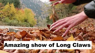 Amazing show of Long Natural Nails touching the leaves - Watch and adore