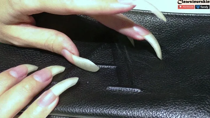 Sharp nails scratching leather bag 2