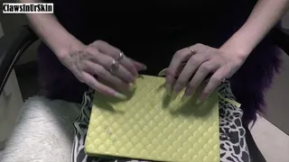 Nails In Action - my claws scratching to destroy the next leather book