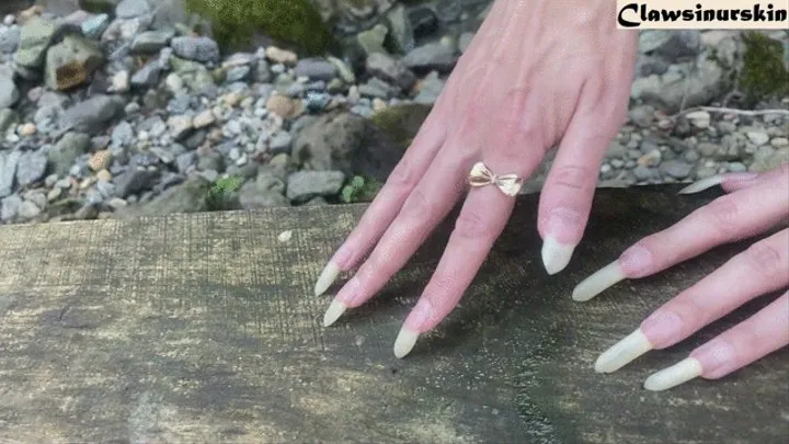 Nails scratching wood, destroying trunk and some nails show