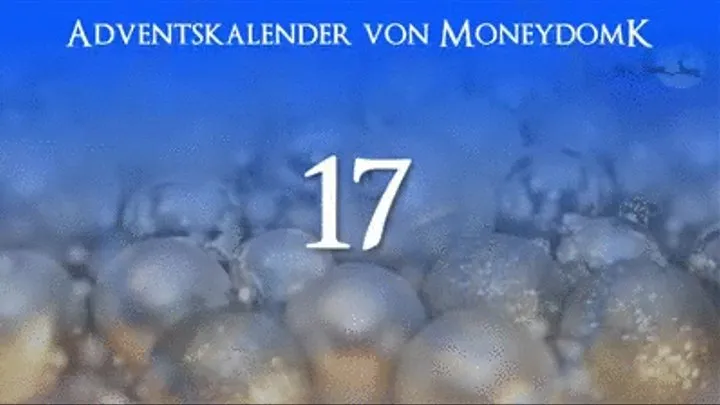 Adventskalender - Tür 17 (Freddy Jeans)