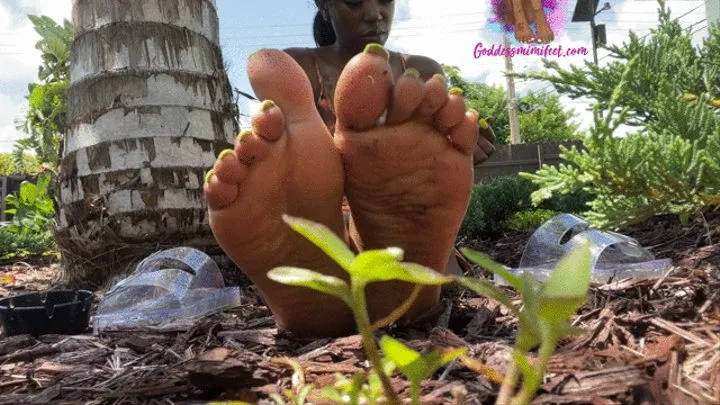 Feet Under the Sun foot tease