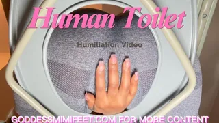 Human Toilet Humiliation