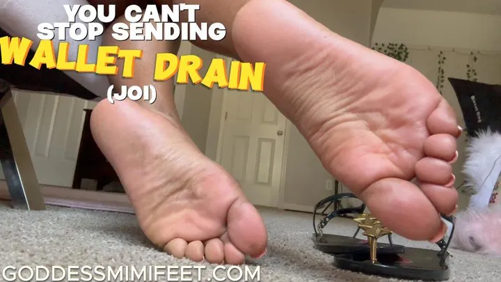 You can't stop sending Wallet Drain JOI