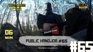 public handjob #65