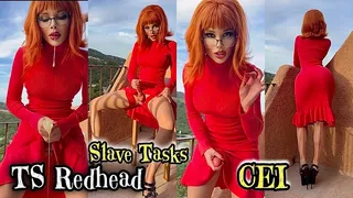 TS Redhead SLAVE TASKS CEI