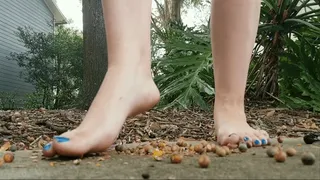 ASMR - Crushing Acorns Outside Barefoot