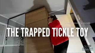 Trapped Tickle Toy: Sadistic Tickler OctoGoddess Torments Her Ticklish Trans Girl in Bondage and Gives her Post Orgasm Pain