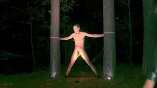 Ballbusting in the depths of a dark forest