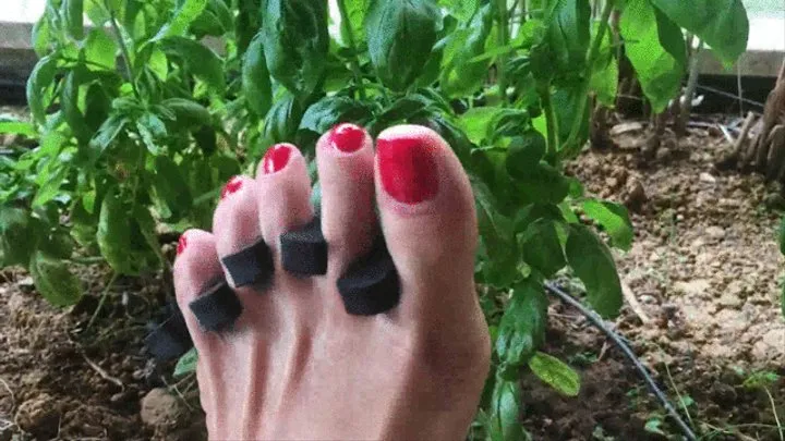 MY BEAUTIFUL TOES