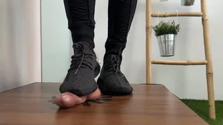 Yeezy Boost 350 V2 MX Dark Cockbox cumshot