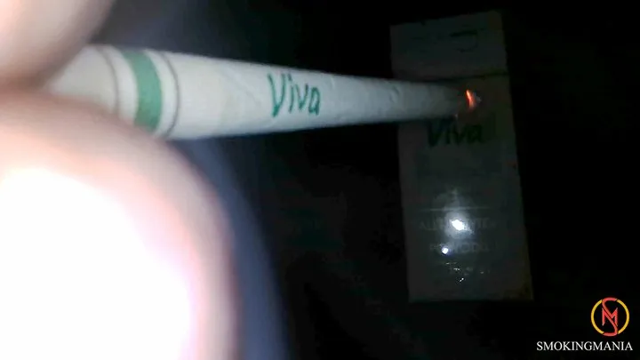 VIVA 120s Menthol inside