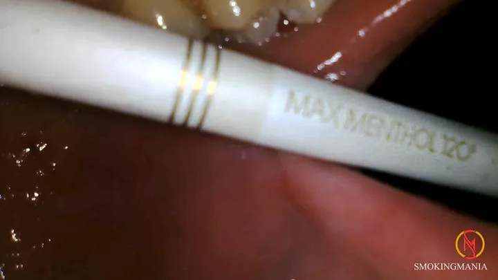 MAX 120's menthol inside