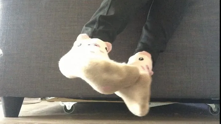 Foot Sniffing Piggy Loves Filthy Socks