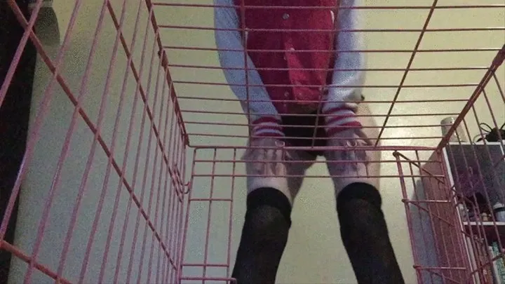 Pissing on You In A Cage Like a Bitch