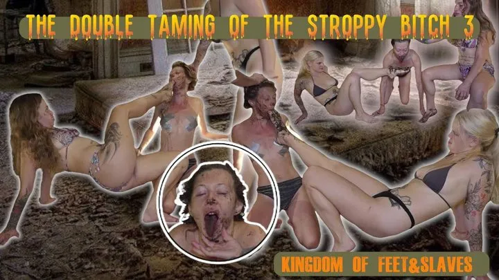 The double taming of the stroppy bitch 3