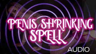 Penis Shrinking Spell AUDIO