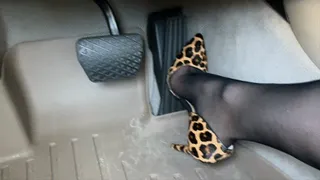 Mimi Drives the BMW in Black Nylons & Leopard Print Pumps