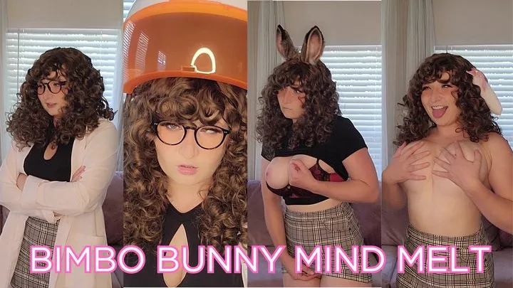 Bimbo Bunny Project