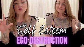 Self Esteem Ego Destruction