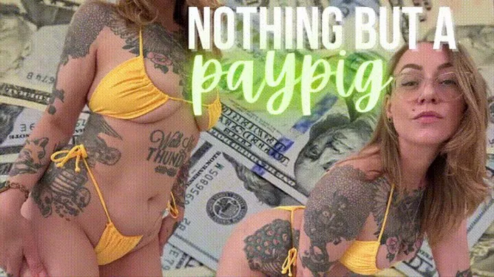 Nothing But A Paypig