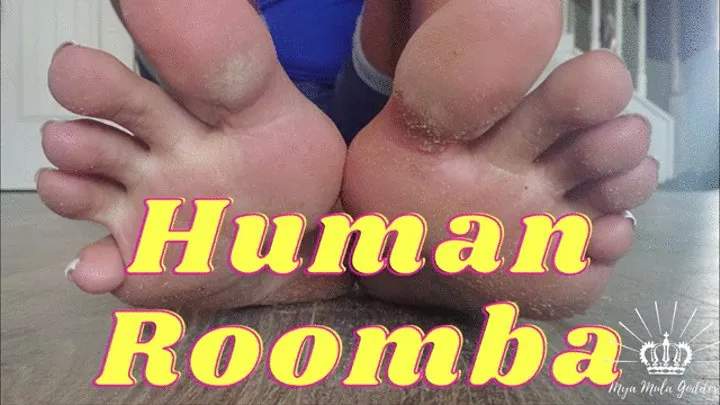 HUMAN ROOMBA DIRTY FOOT WORSHIP