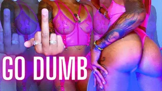 Go Dumb Ass and Spit Fetish Programming