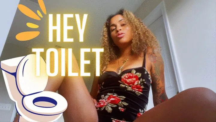 Hey Toilet Vol1