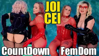 Jerk off and Cum Eating Instructions, FemDom Video with Countdown!