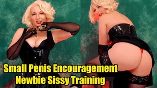 Small Penis Encouragement and Newbie Sissy Training
