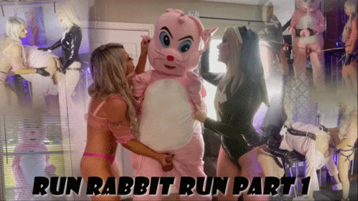 RUN RABBIT RUN PT 1