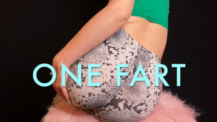 ONE FART