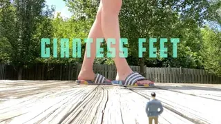 GIANTESS FEET