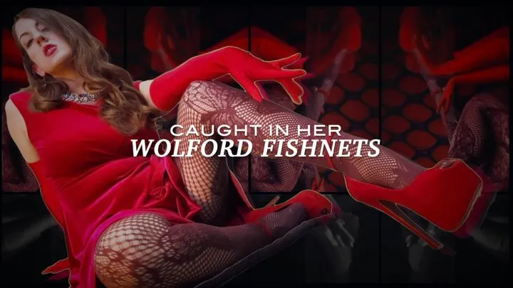 Caught in Her Wolford Fishnets