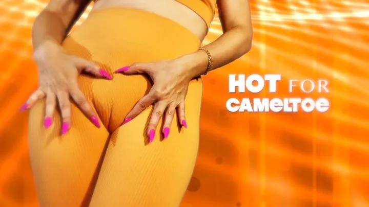 HOT for CAMELTOE