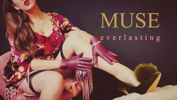 MUSE everlasting