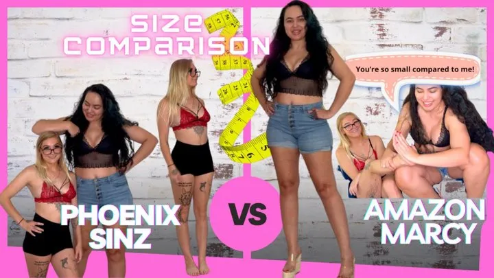 Size Comparison #20: Amazon Marcy vs Phoenix Sinz