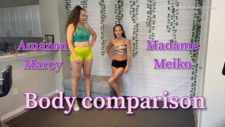 Size Comparison: Amazon Marcy vs Madame Meiko