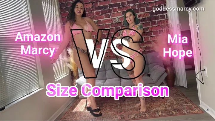 Size Comparison: Amazon Marcy vs Mia Hope