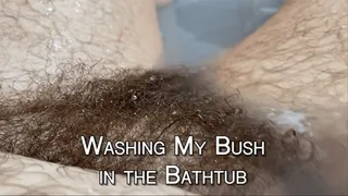 Washing My Bush in the Bathtub
