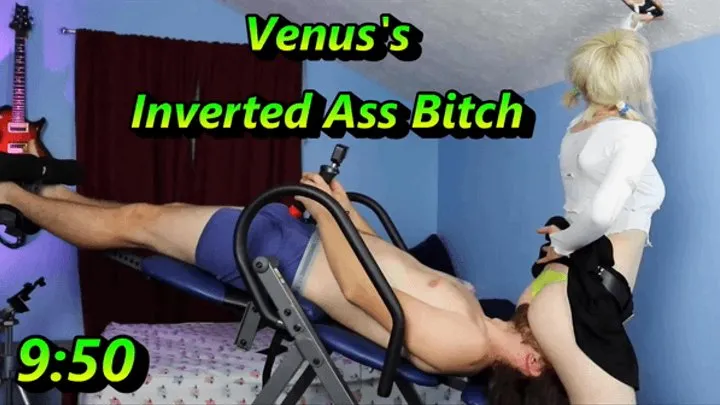 Venus's Inverted Ass Bitch - Selifes On His Face