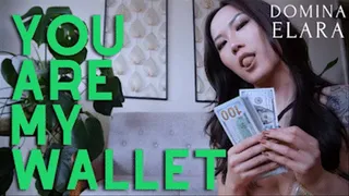 You Are My Wallet